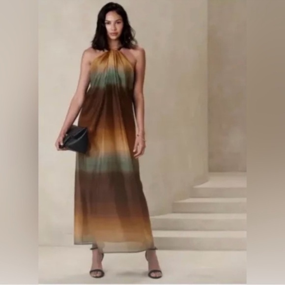 Banana Republic Dresses & Skirts - Banana Republic Organza Maxi Dress Size 6 Petite